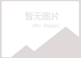 岐山县平淡咨询有限公司